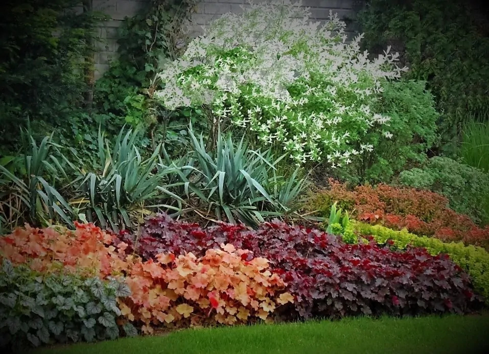 zakładanie ogrodów