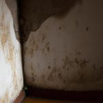 Zapach stęchlizny w domu - skąd się bierze i Jak go zlikwidować?
